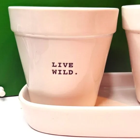 Rae Dunn Live Wild Flower Child Planter Set 3 Herb Pots Tray Magenta Artisan - Picture 3 of 9